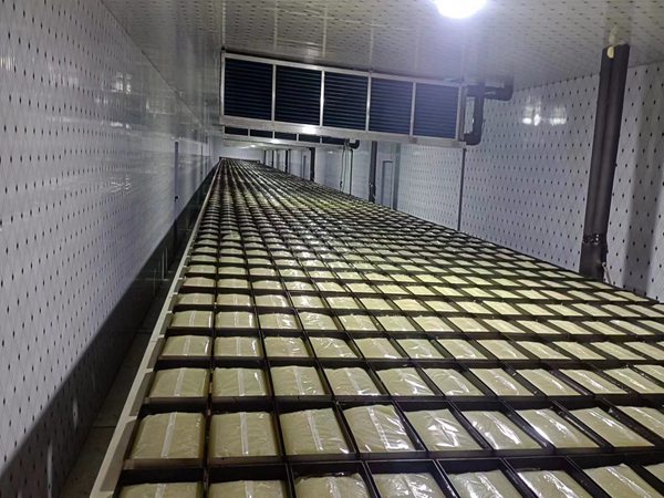 �ൺAGƽ̨��Ϸ����_AG���˹�����������е��������